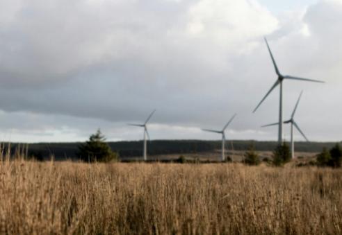 Investér i hagen din med økologiske forsyninger